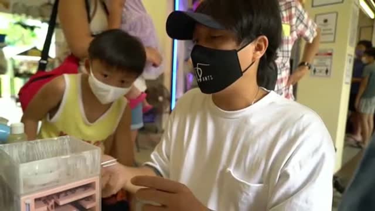 Abre en Singapur la primera tienda que vende hormigas como mascotas