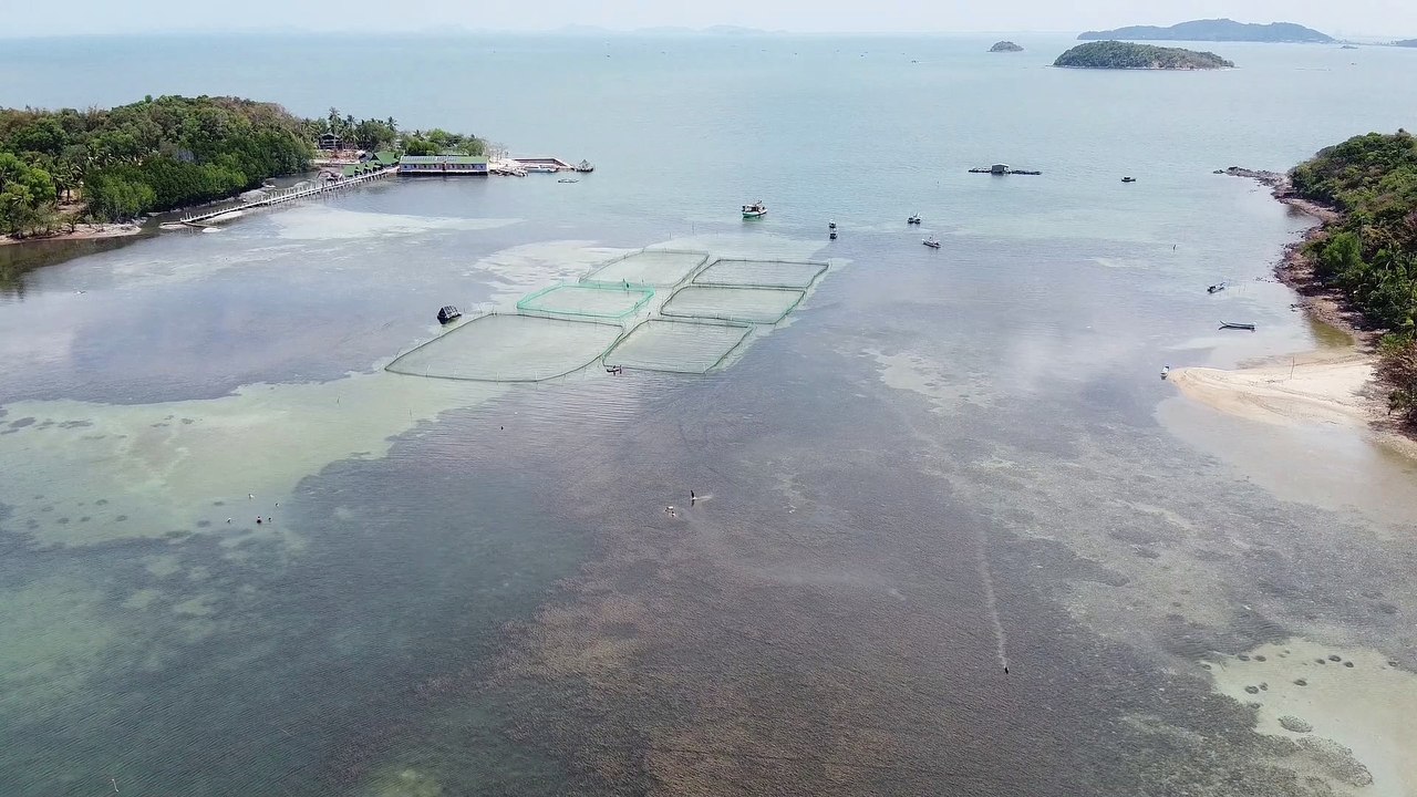 Landscape Sea & Beach Videos Full HD Free No Copyright Beauty Of Nature Drone Aerial View