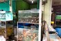 Aktivitas Penjualan Bibit Ikan dan Hias di Pasar Parung