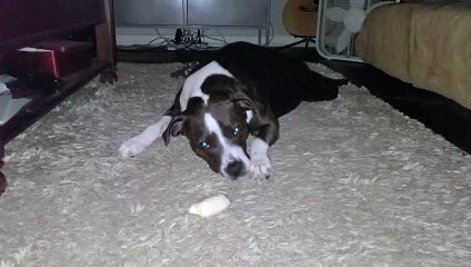 Oh I&apos;m so sleepy can&apos;t I just sleep here?