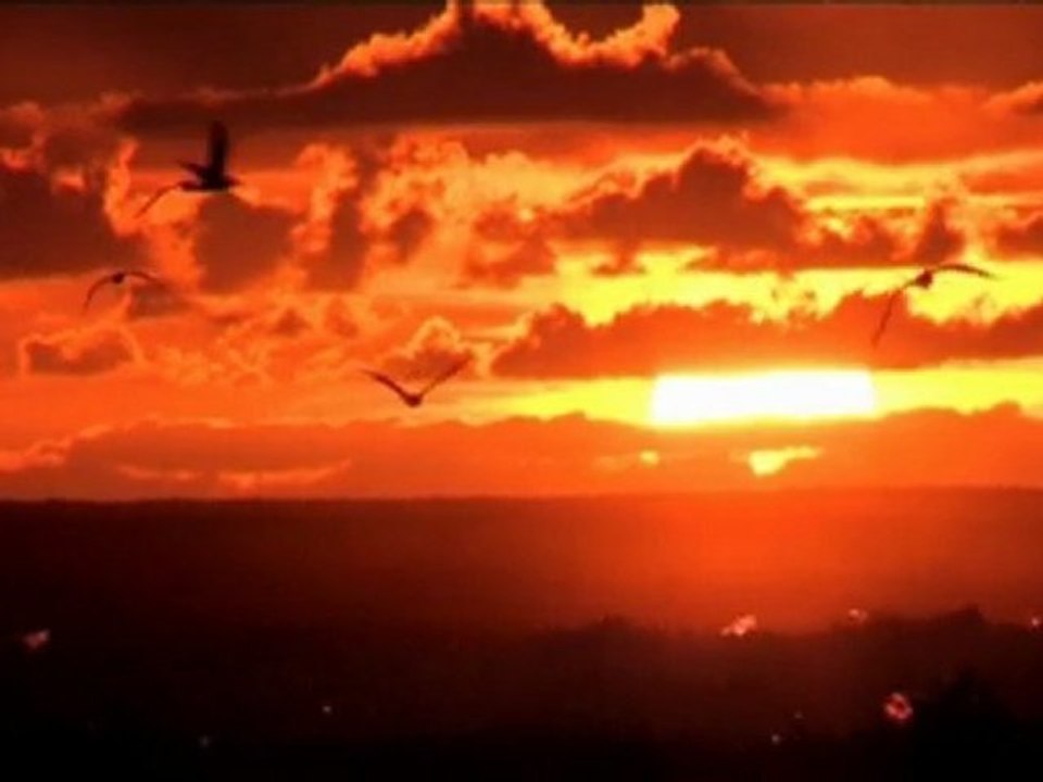 SurfTimelapse