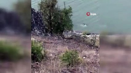 BARAJA UÇAN OTOMOBİLDEKİ 4 KİŞİ KURTARILDI