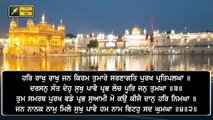 Daily Hukamnama from Golden Temple, Amritsar | Shri Darbar 13 September, 2020