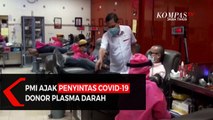 PMI Ajak Penyintas Covid-19 Donor Plasma Darah
