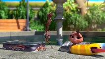 LARVA - Babá - 2019 Filme completo - Dos desenhos animados - Cartoons Para Crianças