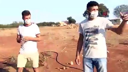 Çiftlik kredisi çekmek için aldığı hayvanları ölüme terk etti; açlıktan ve susuzluktan öldüler!