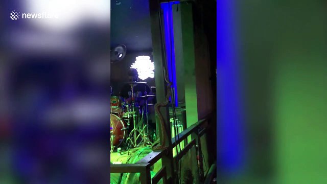 Terrifying moment live snake interrupts band's set