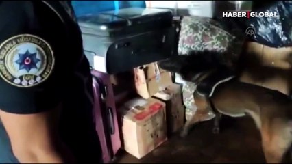 Kargo şirketine 'uyuşturucu' operasyonu