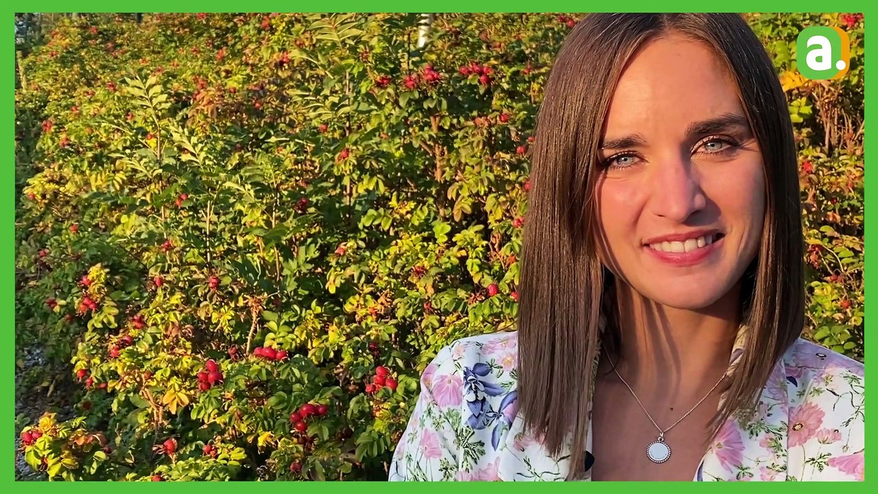 L'Avenir - Incrock 2020 : interview de Typh Barrow