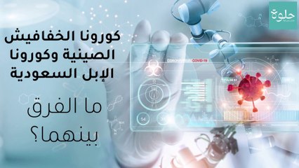 كورونا الخفافيش الصينية وكورونا الإبل السعودية.. ما الفرق بينهما؟