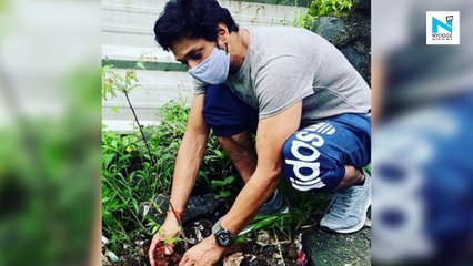 #PlantForSSR: After Ankita and Mahesh Shetty, Mukesh Chhabra plant saplings for Sushant