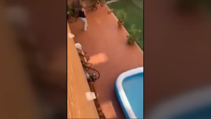 Una vecina graba y denuncia la agresión contra un perro en Sevilla