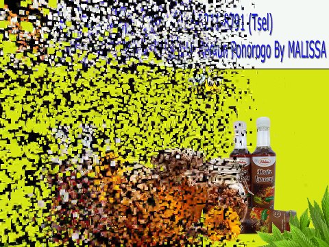 GROSIR !! WA : 0813-3211-8791 (Tsel)	Grosir Madu Hutan Di Madiun Ponorogo By MALISSA,