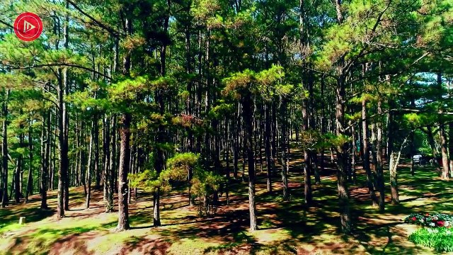 Happy Music For Morning Positive Music To Boost Your Mood Classical Music For Positive Energy