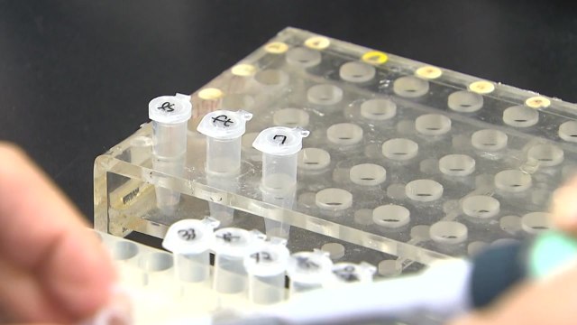 [뉴스큐] 12일째 신규 100명대...질병관리청 국산 치료제 연내 확보 목표 / YTN