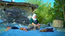 الزي الكردي فولكلور تتوارثه الأجيال