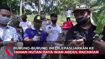 Ratusan Burung Selundupan di Lampung Dilepasliarkan