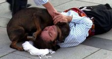 Ce chien errant interrompt un spectacle de rue pour réconforter un acteur qui fait semblant d'être blessé