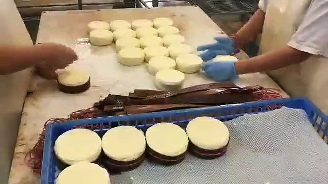 Avec un lait caillé, moulé, égoutté, saumuré, les jeunes Mont d'Or sont prêts à recevoir la fameuse sangle d'épicéa