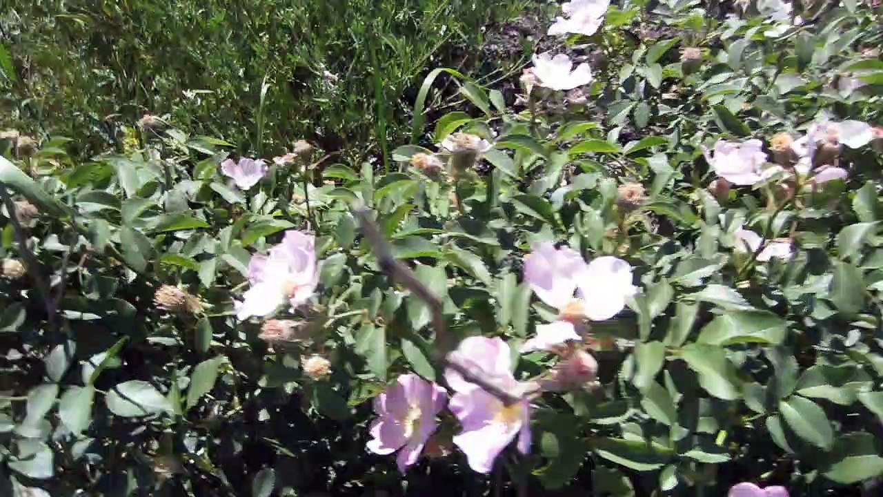 Бревет 400 км