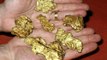 Gold diggers find two nuggets worth $250,000 in Australia