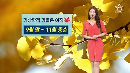 [날씨]내일 전국 곳곳 소나기…이번 주 큰 일교차 주의