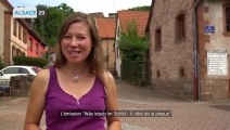 “Wàs hesch ìm Schìld ?” - “À côté de la plaque !” pour le Bas-Rhin