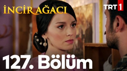 İncir Ağacı 127. Bölüm