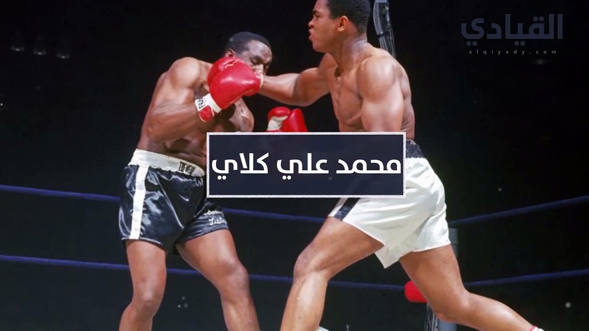 محمد علي كلاي: قصة نجاح أعظم من شهدت حلبات الملاكمة - فيديو Dailymotion