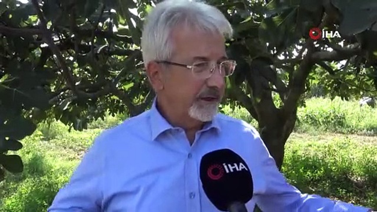 Bu kütüphanede ata tohumu üretiliyor