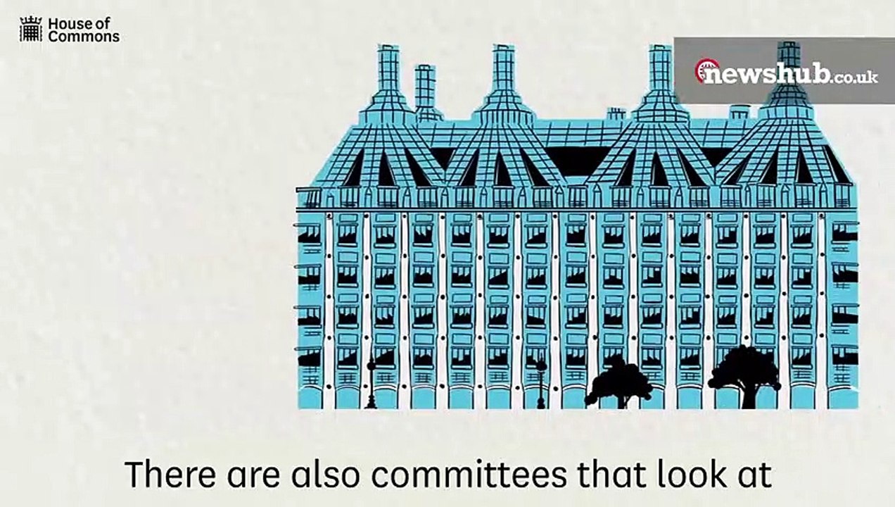 What are select committees