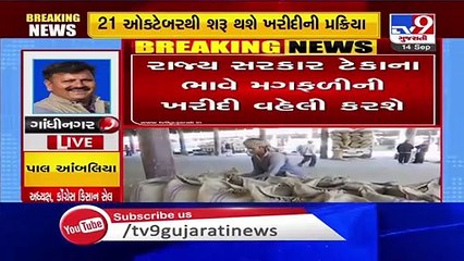 Groundnut procurement to be started from Oct21  Gujarat Agriculture Minister R C Faldu  Tv9