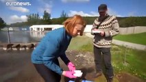 'Virus hunter' in Iceland explores geothermal hot springs for answers