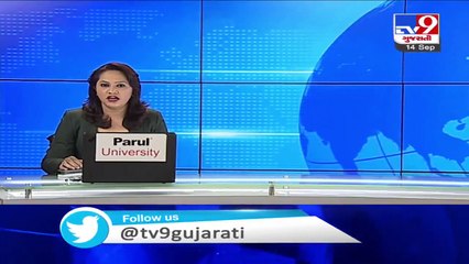 Ganja farming busted in Shehra; farm owner arrested  Panchmahal Tv9GujaratiNews