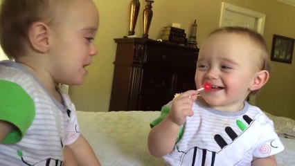 Funny Twins Baby Arguing Over Everything