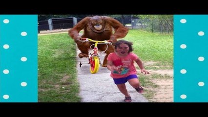 Funny Animals Trolling Babies And Kids