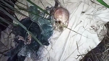 भोजपुर के नाहली गांव में पत्नी की हत्या कर पति ने शव नहर में फेंका