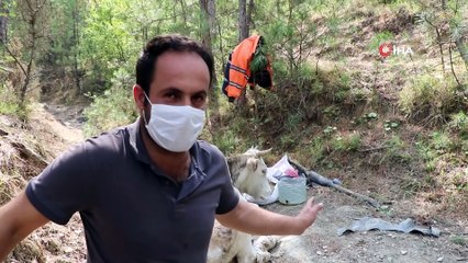 Uçurumdan düşerek yaralanan ineğinin başında 3 gün bekledi
