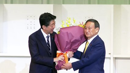 Experiência e pragmatismo