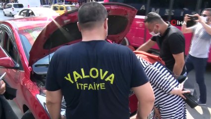 Kaputa giren kedi için seferber oldular