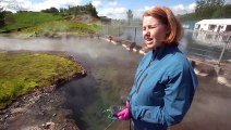 'Virus hunter' in Iceland explores geothermal hot springs for answers