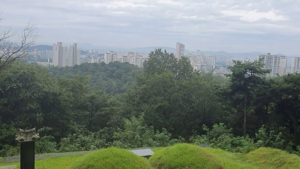 In search of Korean war treasures with a metal detector