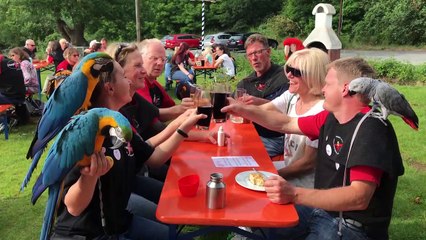 50  Parrots Visit Beer Garden in Germany