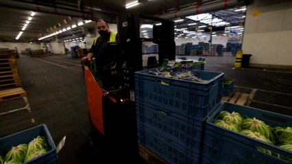 Visite de la criée BelOrta à Wavre ste Catherine