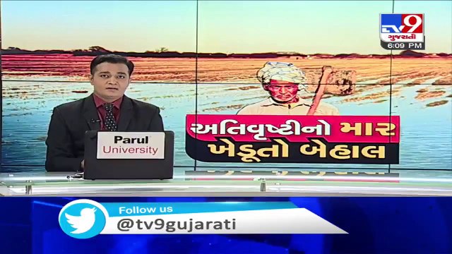Rain water yet to recede from farms, farmers worried - Ahmedabad - Tv9GujaratiNews