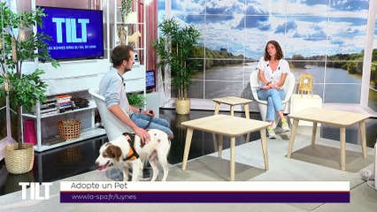 TILT - 14/09/2020 - Partie 2 - Sportifs en mode connectés !