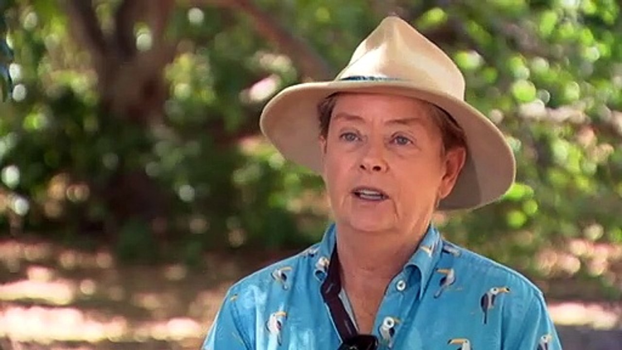 Humpback whales found in Kakadu National Park