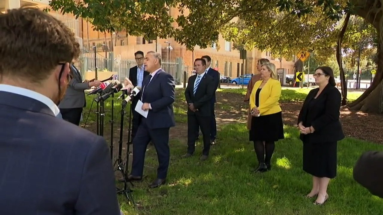 NSW Deputy Premier backs down on party threat to walk