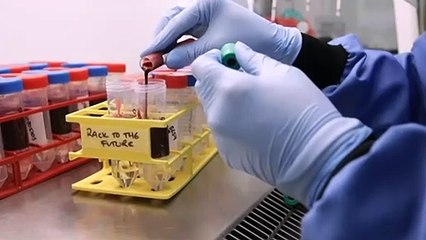 Oxford vaccine trial halted amid suspected side effect