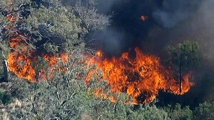 Today marks one year since fires hit Stanthorpe in Qld